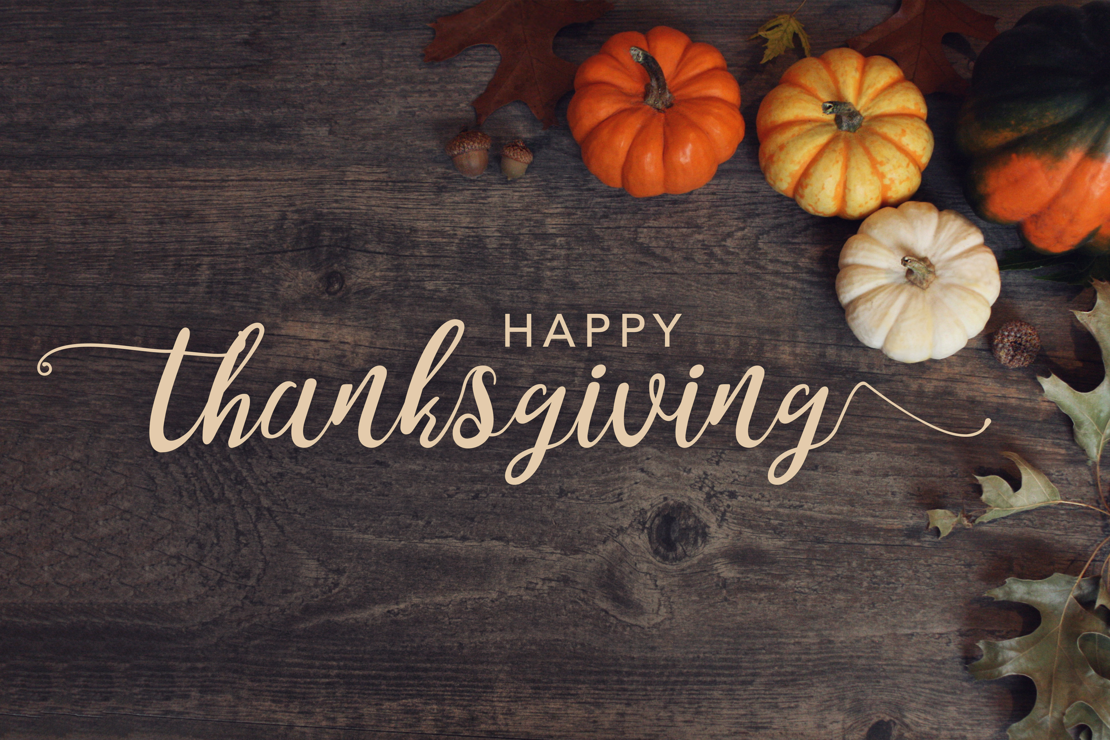image result for happy thanksgiving